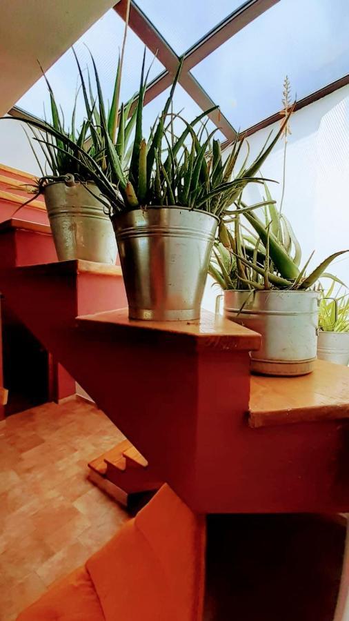 Zelena Kuca- Green House Liznjan Luaran gambar